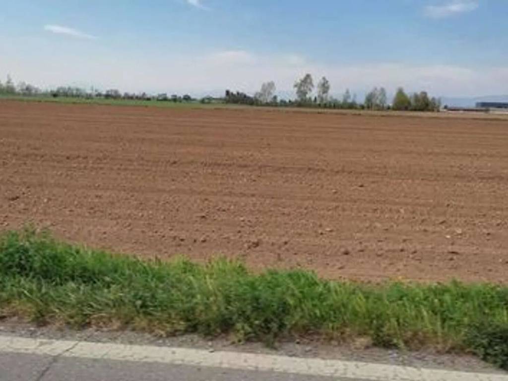 terreno agricolo in vendita a San Biagio di Callalta