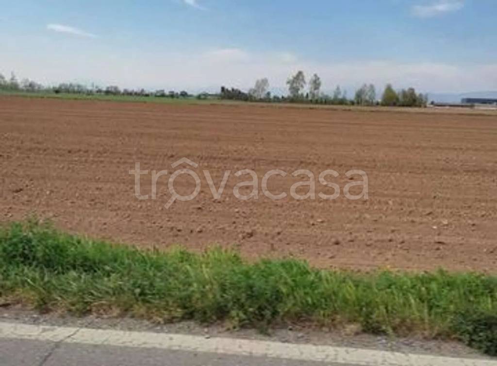 terreno agricolo in vendita a San Biagio di Callalta