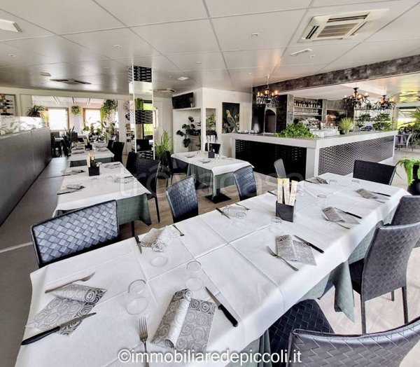 immagine annuncio 0 di 15