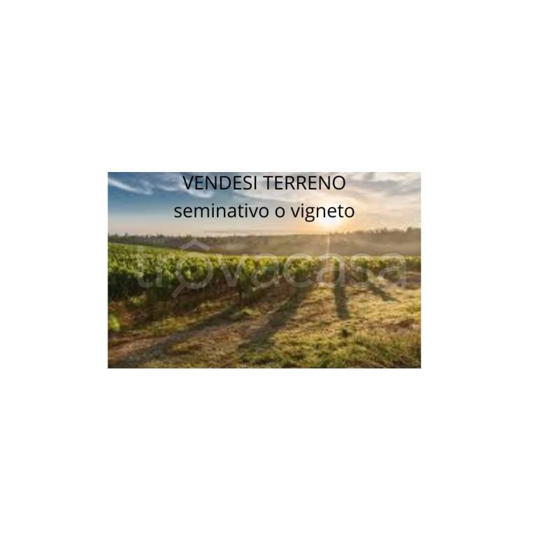 terreno agricolo in vendita a San Biagio di Callalta