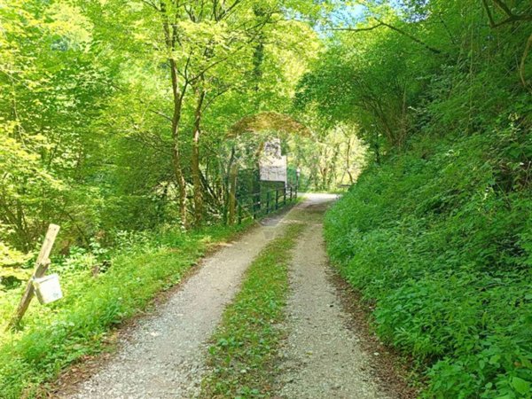 terreno agricolo in vendita a San Biagio di Callalta