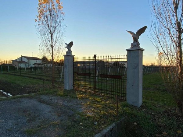 terreno agricolo in vendita a San Biagio di Callalta