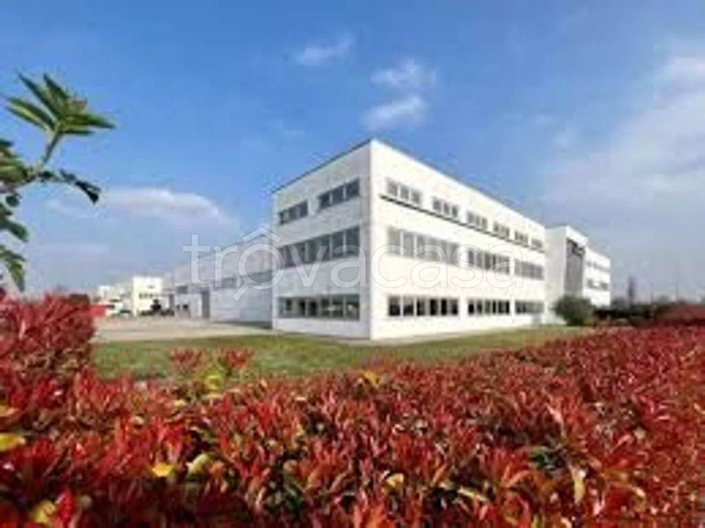 capannone in vendita a San Biagio di Callalta