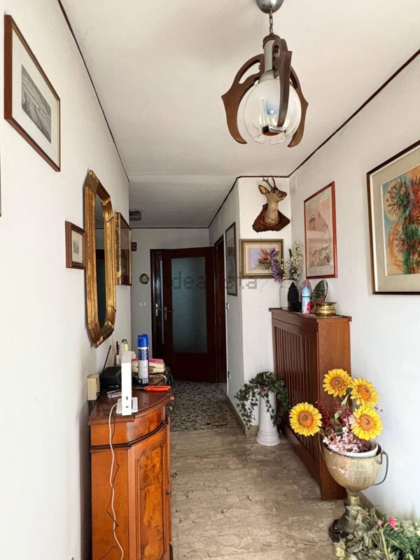 pentavano in vendita a San Biagio di Callalta