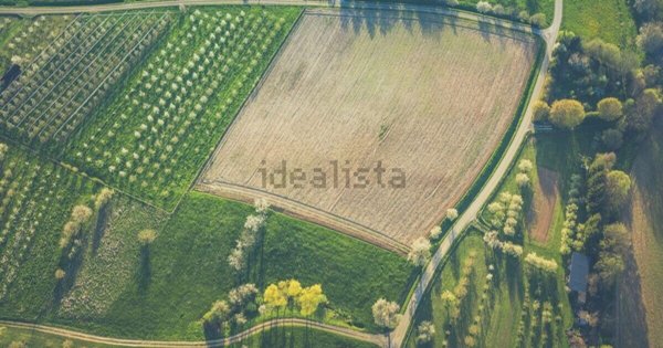 terreno agricolo in vendita a San Biagio di Callalta