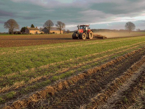 terreno agricolo in vendita a San Biagio di Callalta