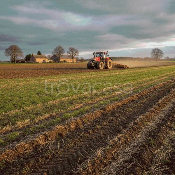 terreno agricolo in vendita a San Biagio di Callalta