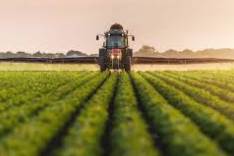 terreno agricolo in vendita a San Biagio di Callalta
