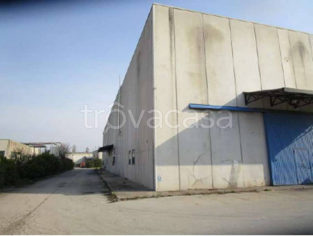 capannone in vendita a San Biagio di Callalta