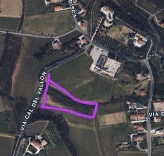 terreno agricolo in vendita a San Fior in zona Castello Roganzuolo