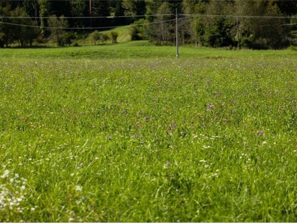 terreno agricolo in vendita a San Fior