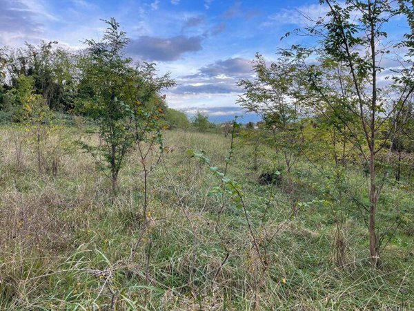 terreno agricolo in vendita a San Fior