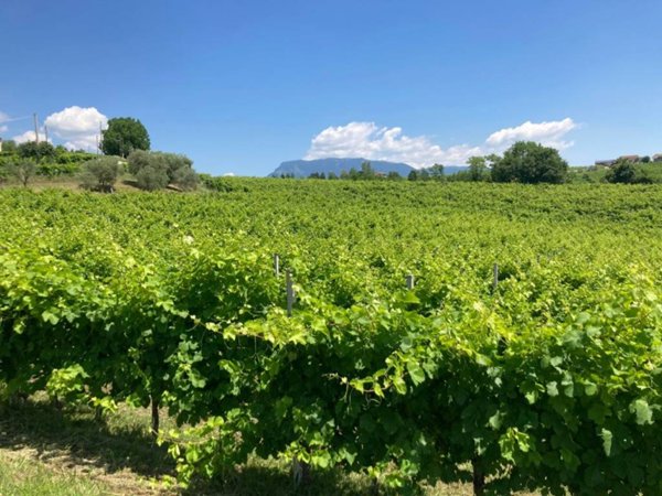 terreno agricolo in vendita a San Pietro di Feletto