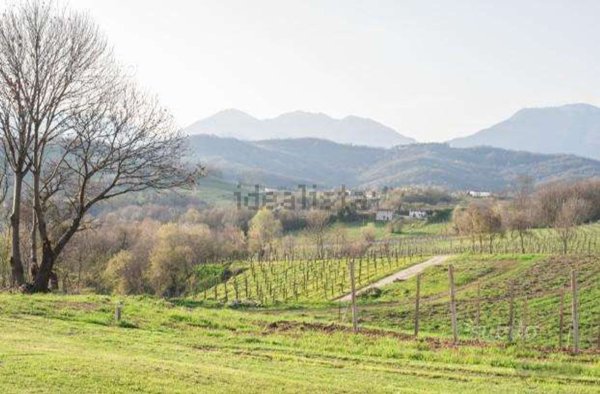 pentavano in vendita a San Pietro di Feletto