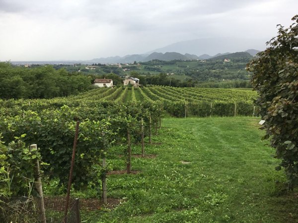 casa indipendente in vendita a San Pietro di Feletto in zona Santa Maria