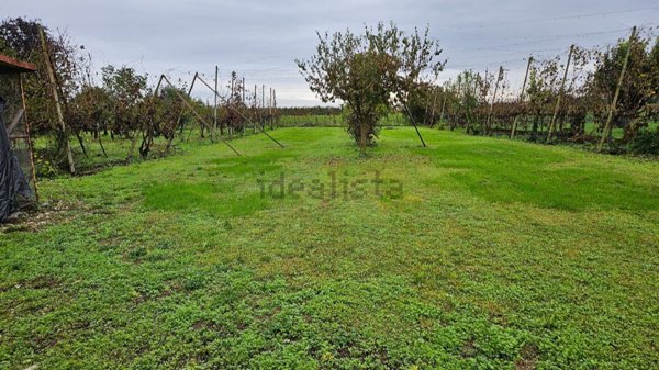 casa indipendente in vendita a San Polo di Piave