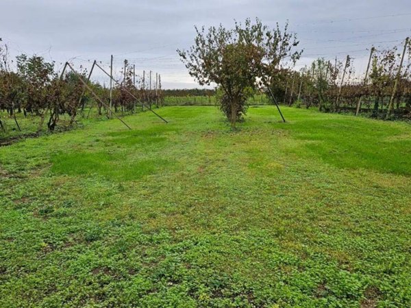casa indipendente in vendita a San Polo di Piave