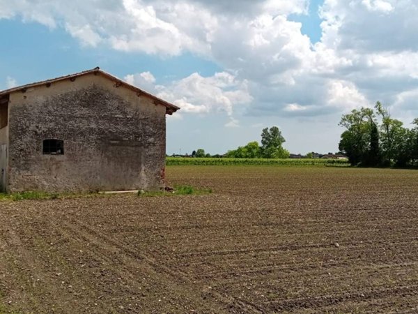 terreno agricolo in vendita a San Polo di Piave in zona Guizza
