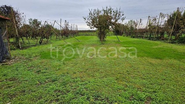 casa indipendente in vendita a San Polo di Piave