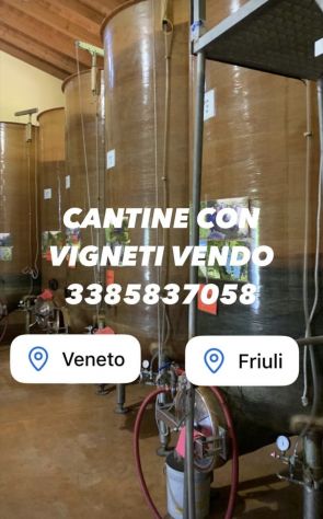 terreno agricolo in vendita a San Polo di Piave