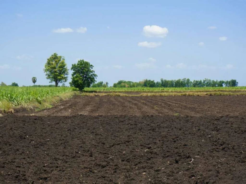 terreno agricolo in vendita a Santa Lucia di Piave