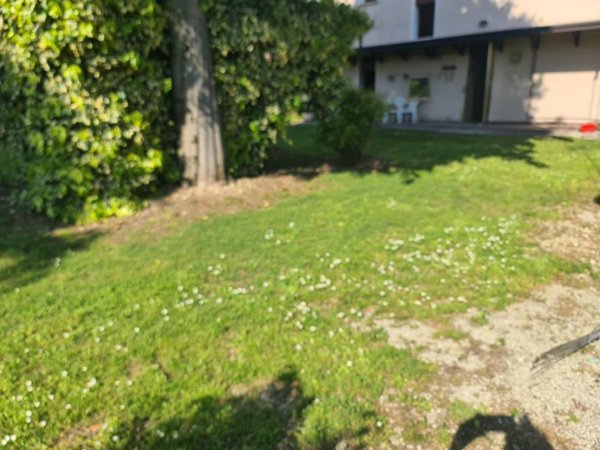 casa indipendente in vendita a Santa Lucia di Piave
