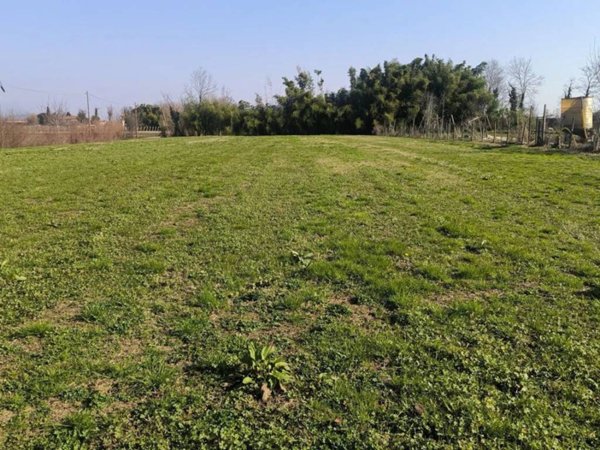 appartamento in vendita a San Vendemiano in zona Cosniga/Zoppè