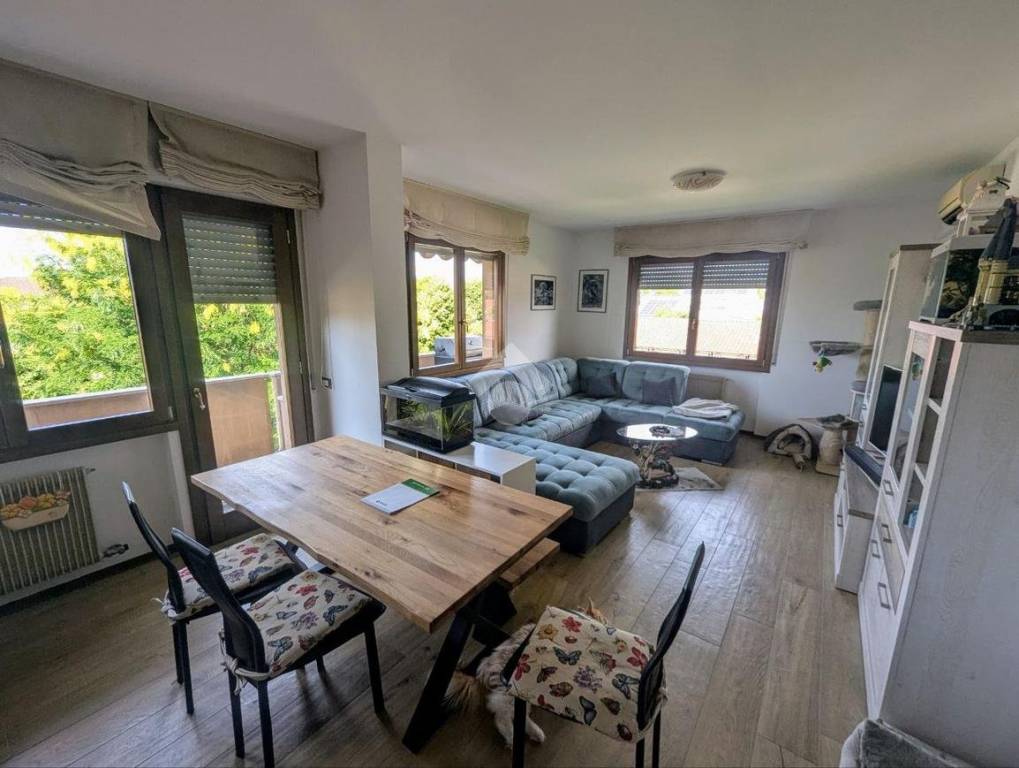 appartamento in vendita a San Vendemiano in zona Fossamerlo