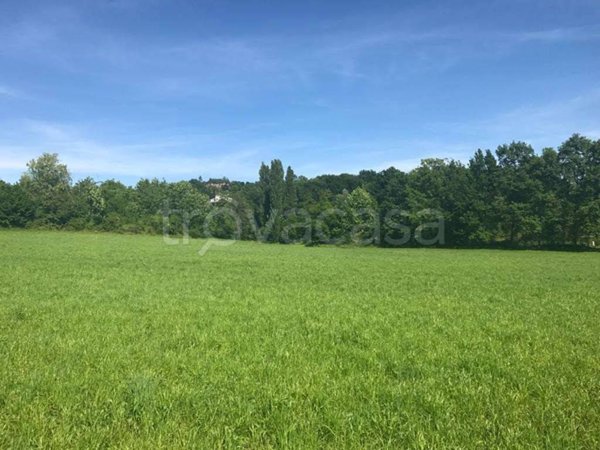 terreno agricolo in vendita a San Zenone degli Ezzelini