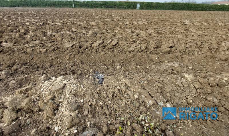 terreno edificabile in vendita a San Zenone degli Ezzelini