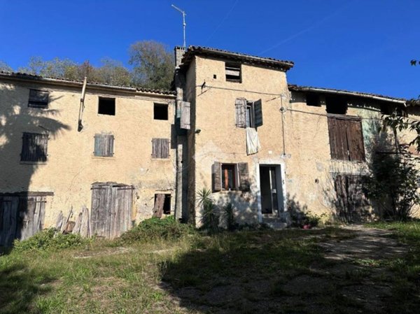 esavano in vendita a San Zenone degli Ezzelini