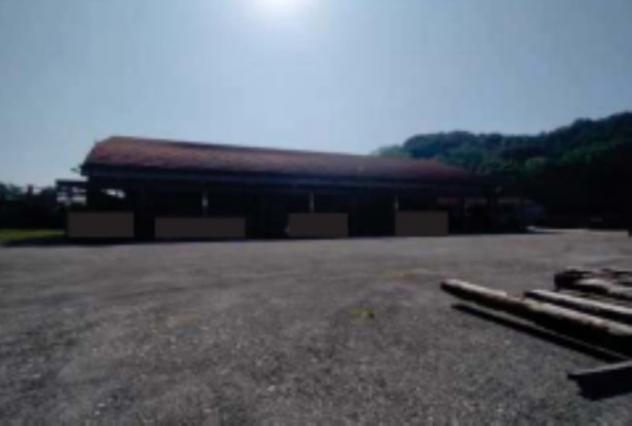 pentavano in vendita a San Zenone degli Ezzelini