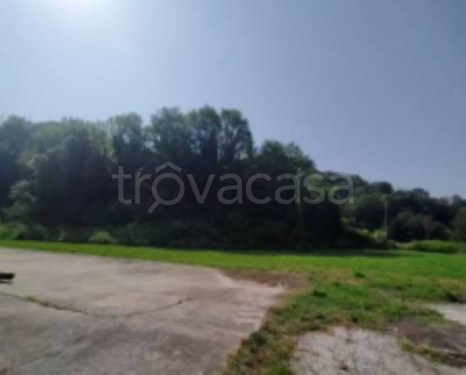 terreno agricolo in vendita a San Zenone degli Ezzelini