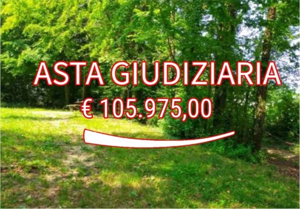 terreno agricolo in vendita a San Zenone degli Ezzelini