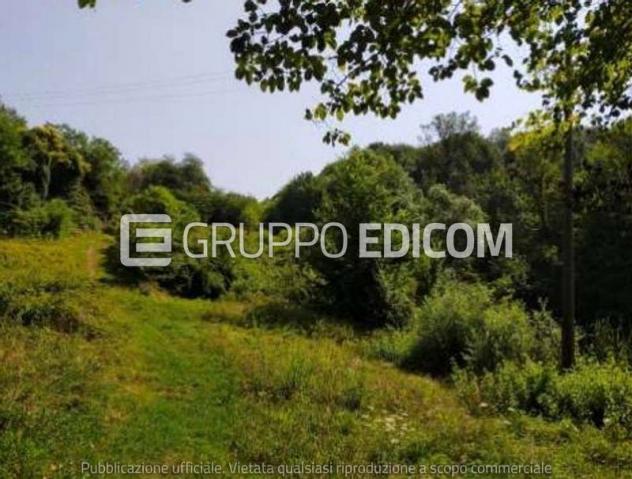 terreno agricolo in vendita a San Zenone degli Ezzelini
