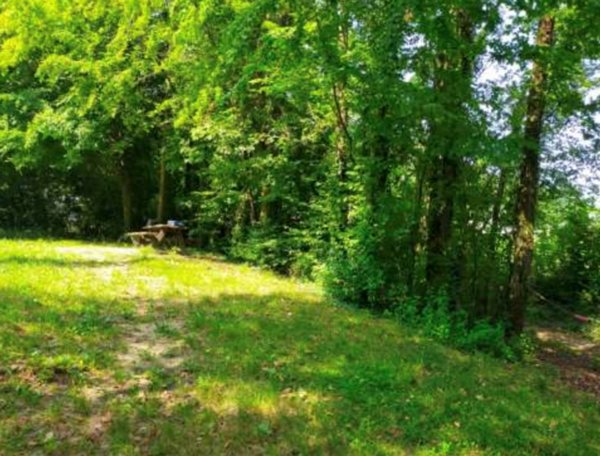 terreno agricolo in vendita a San Zenone degli Ezzelini