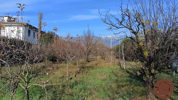 terreno agricolo in vendita a San Zenone degli Ezzelini