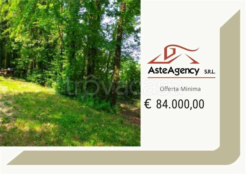 terreno agricolo in vendita a San Zenone degli Ezzelini