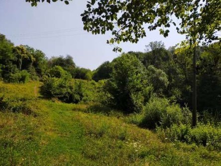 terreno agricolo in vendita a San Zenone degli Ezzelini