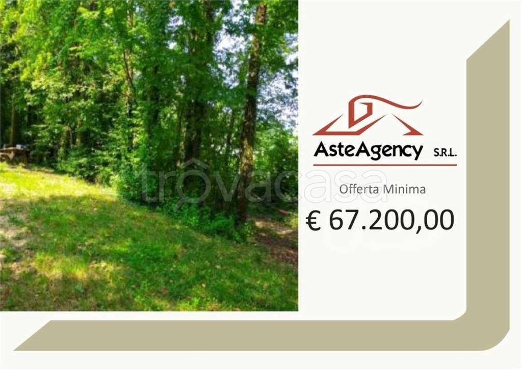 terreno agricolo in vendita a San Zenone degli Ezzelini