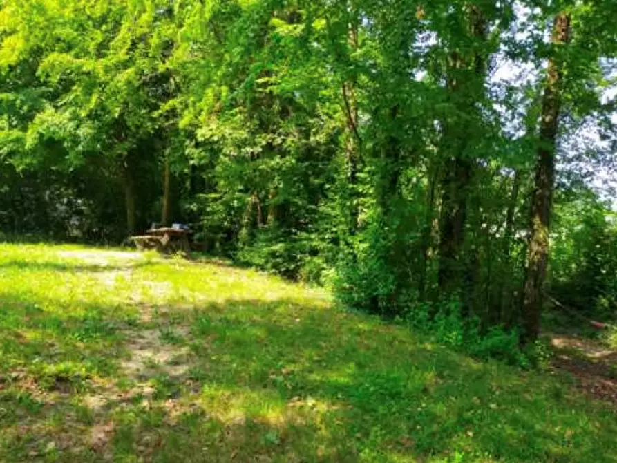 terreno agricolo in vendita a San Zenone degli Ezzelini