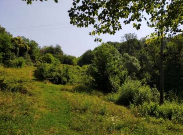 terreno agricolo in vendita a San Zenone degli Ezzelini
