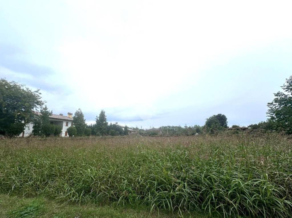 terreno agricolo in vendita a San Zenone degli Ezzelini
