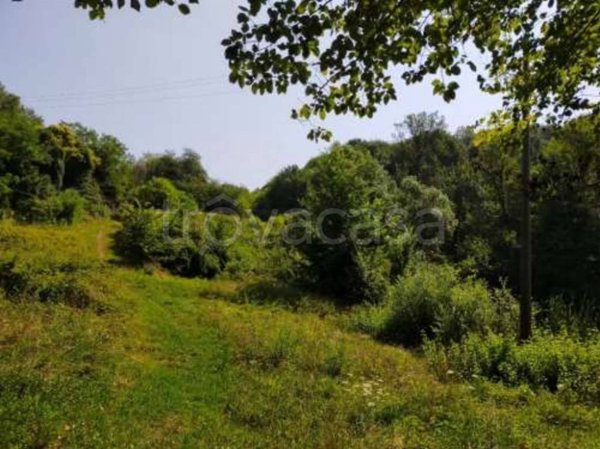 terreno edificabile in vendita a San Zenone degli Ezzelini