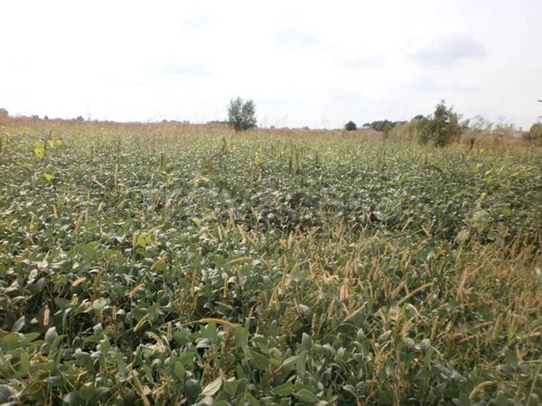 terreno edificabile in vendita a San Zenone degli Ezzelini