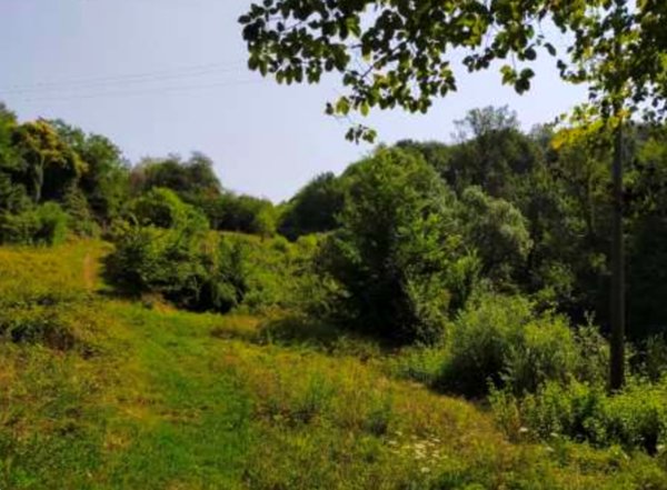 terreno agricolo in vendita a San Zenone degli Ezzelini