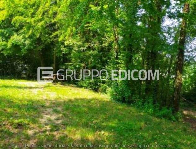 terreno agricolo in vendita a San Zenone degli Ezzelini