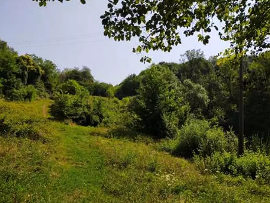 terreno agricolo in vendita a San Zenone degli Ezzelini