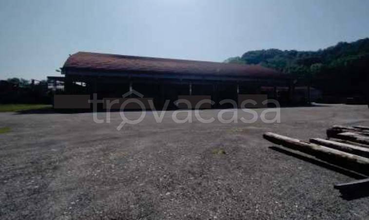 terreno edificabile in vendita a San Zenone degli Ezzelini