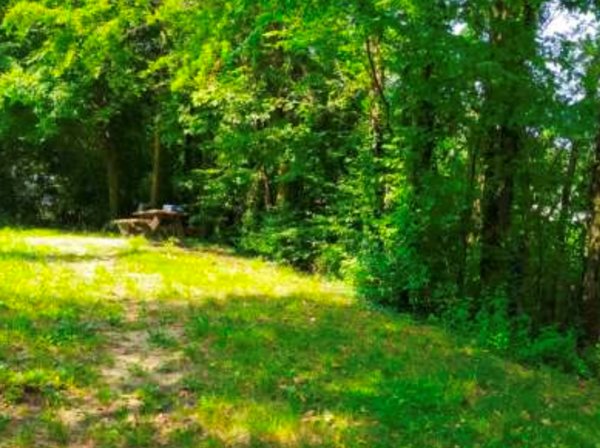 terreno agricolo in vendita a San Zenone degli Ezzelini